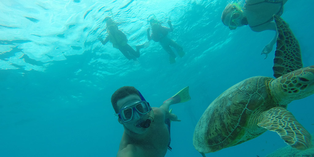 turtle-selfie-lady-musgrave-island