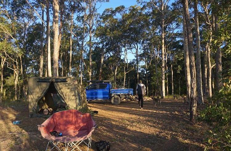Setting up camp in the Watagans
