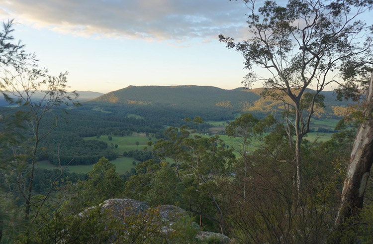 Overlooking the valley below the Watagans at sunset.