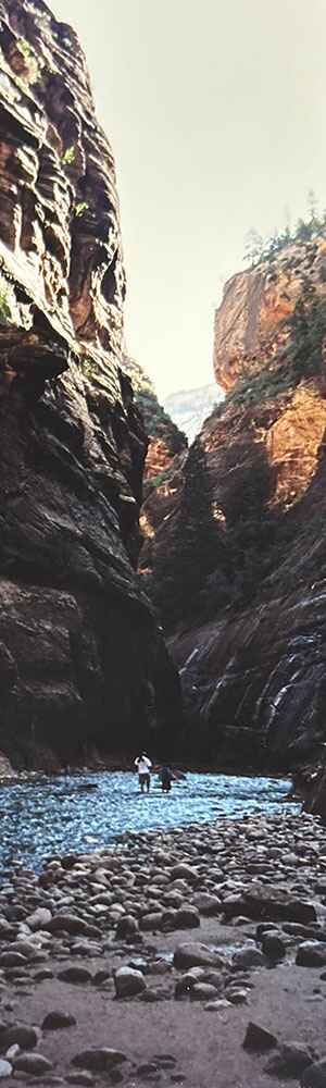 People wading through water between two cliff faces in Zion National Park.